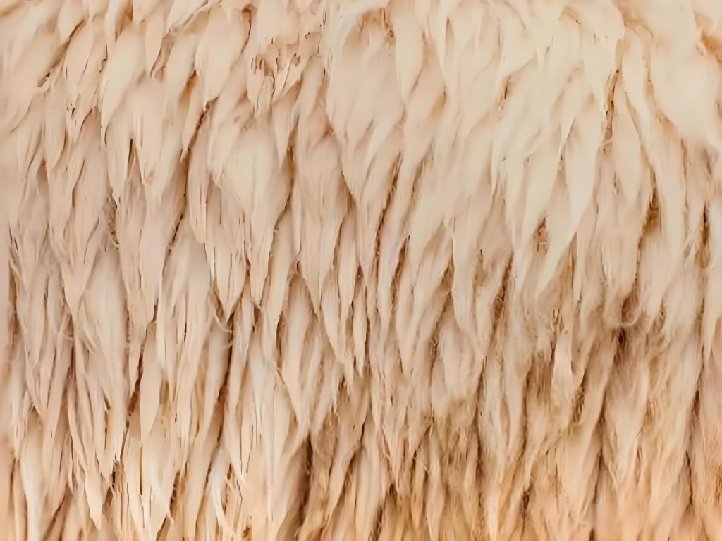 汉邦/汉凰科技推出羊毛甾醇纯化制备技术