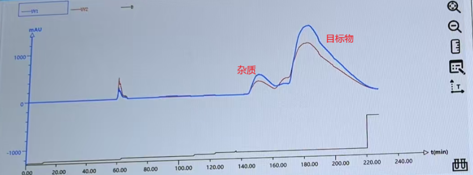 图3 样品的分离纯化谱图